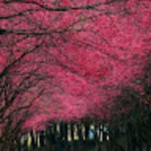 Meet your Posher, Mariah